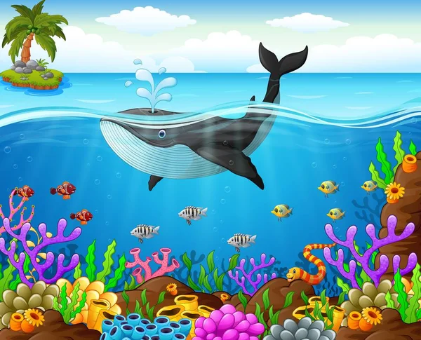 Ikan paus kartun di bawah laut - Stok Vektor