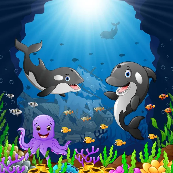 Karikaturwal unter dem Meer — Stockvektor