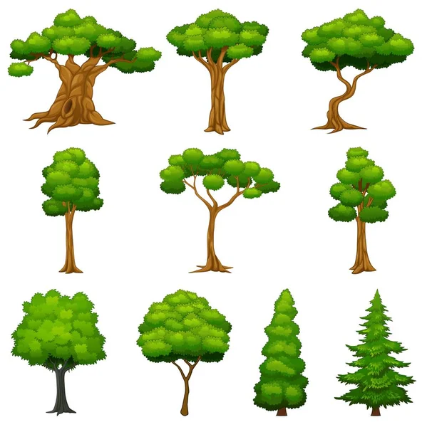 Diversity of trees set — Stock Vector