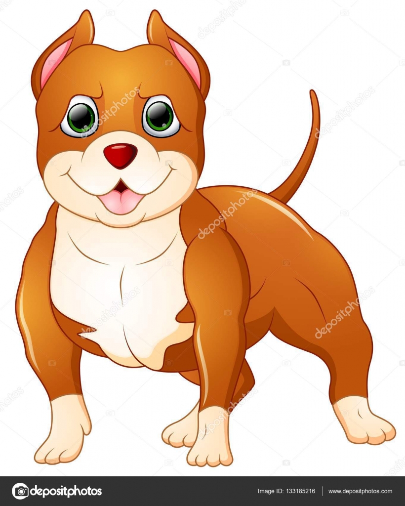 Pitbull cartoon 2024