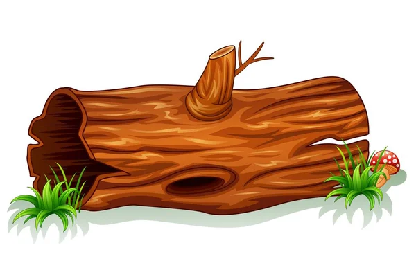 Ствол дерева с грибами — стоковый вектор