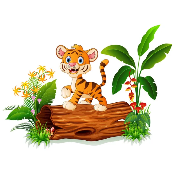 Aranyos tigris pózol a fa törzse — Stock Vector