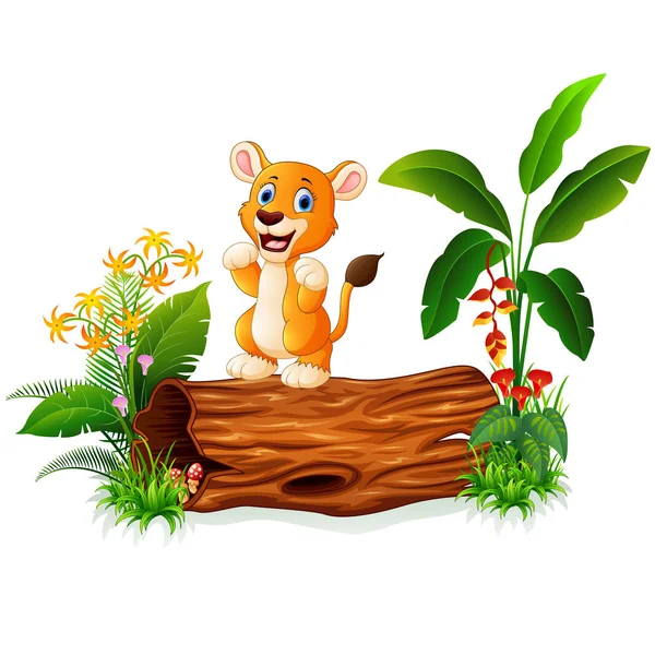 León bebé de dibujos animados en tronco de árbol — Vector de stock