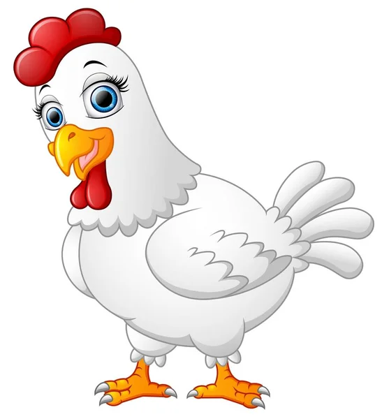 Desenhos animados galinha isolado no fundo whte —  Vetores de Stock