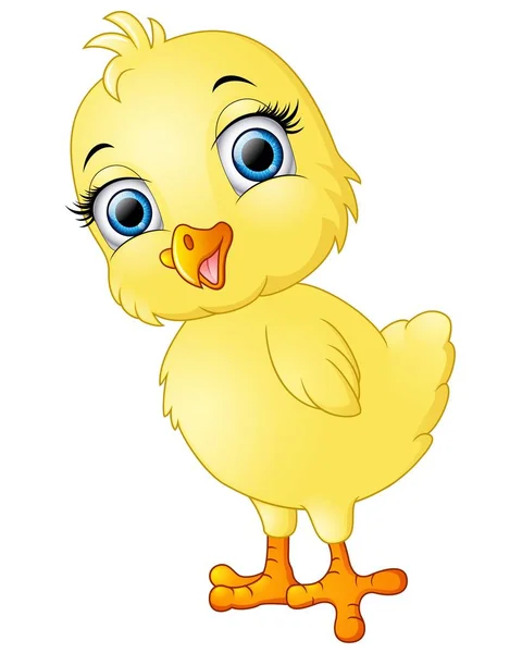 Happy chicks cartoon — Stock Vector