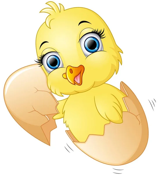 Gebarsten eieren met schattige kuikens binnen — Stockvector