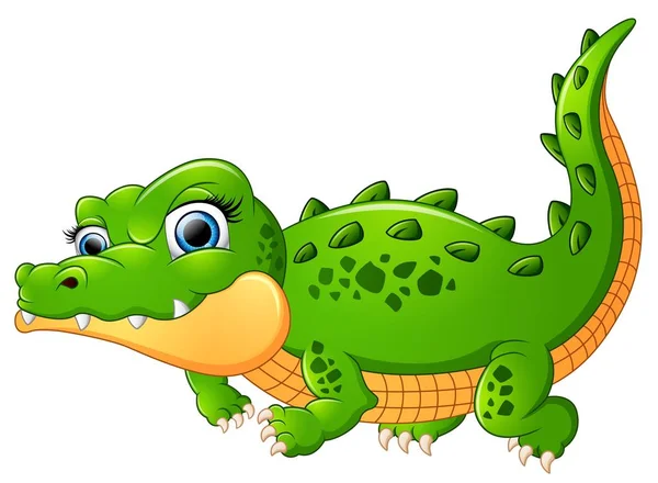 Crocodile dessin animé isolé sur fond blanc — Image vectorielle