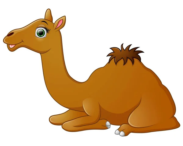 Feliz camello de dibujos animados acostado — Archivo Imágenes Vectoriales