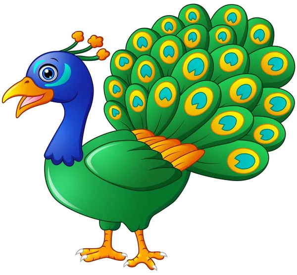 Happy Peacock dessin animé isolé sur fond blanc — Image vectorielle