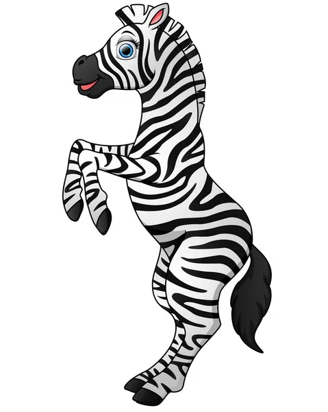 Niedlicher Zebra-Zeichentrickfilm — Stockvektor