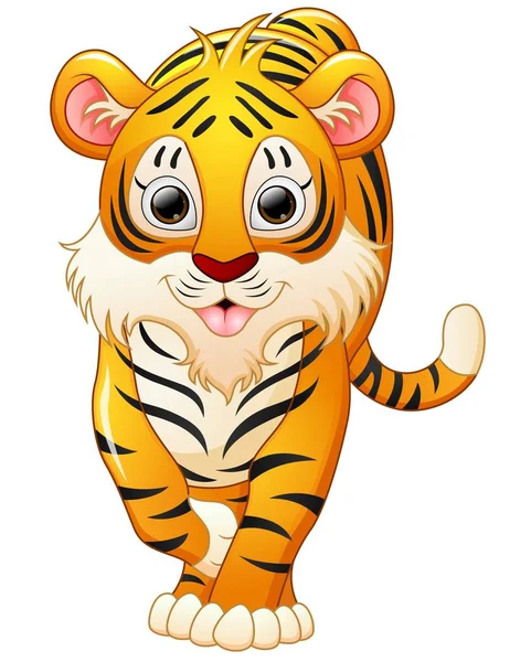 Lindo tigre de dibujos animados aislados sobre fondo blanco — Vector de stock