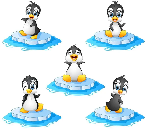 Penguin cartoon set collection — Stock Vector