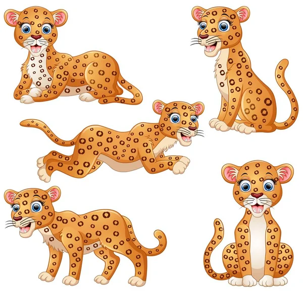 Collezione di set di cartoni animati Leopard — Vettoriale Stock