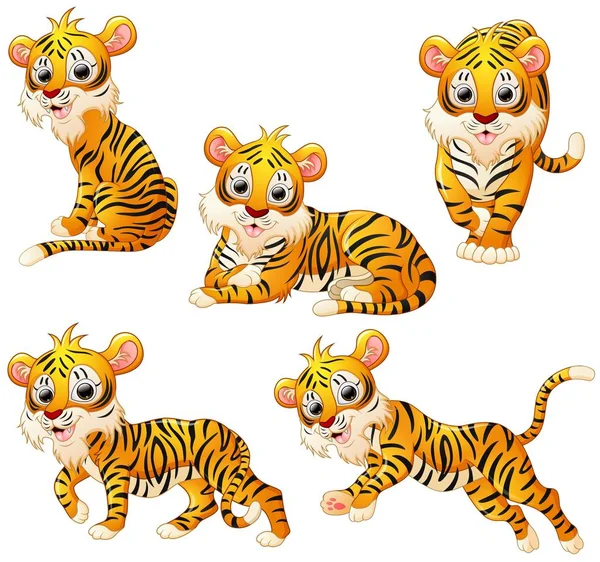 Tiger collezione di cartoni animati — Vettoriale Stock