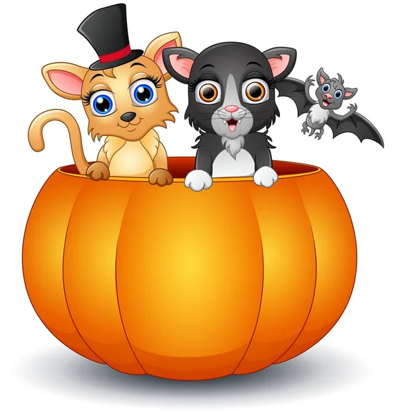 Feliz gato y murciélago de dibujos animados dentro de la calabaza — Archivo Imágenes Vectoriales