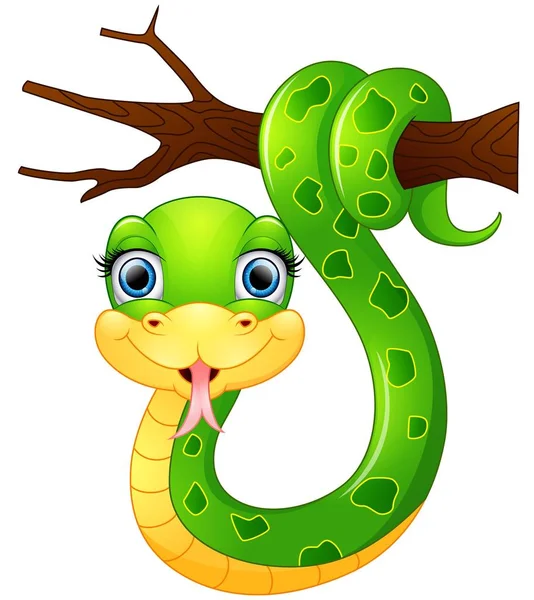 Serpente verde feliz no ramo —  Vetores de Stock