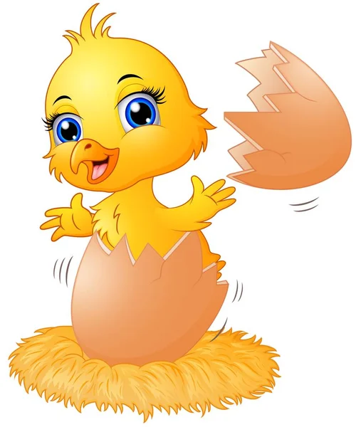 Cracked egg with cute chick inside — Stock Vector