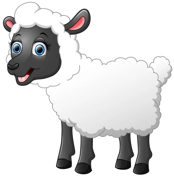 かわいい羊の漫画 — ストックベクタ