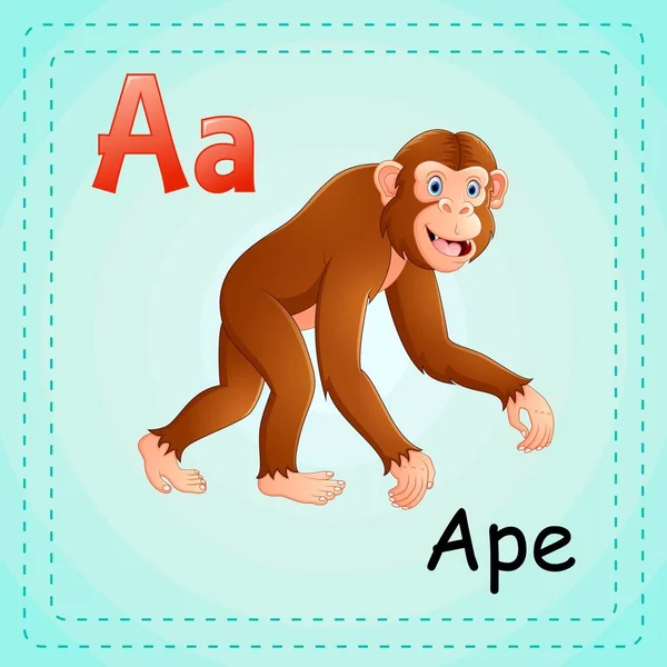 Dieren alfabet: A is voor aap — Stockvector
