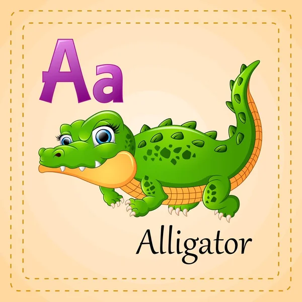 ตัวอักษรของสัตว์: A สําหรับ Alligator — ภาพเวกเตอร์สต็อก