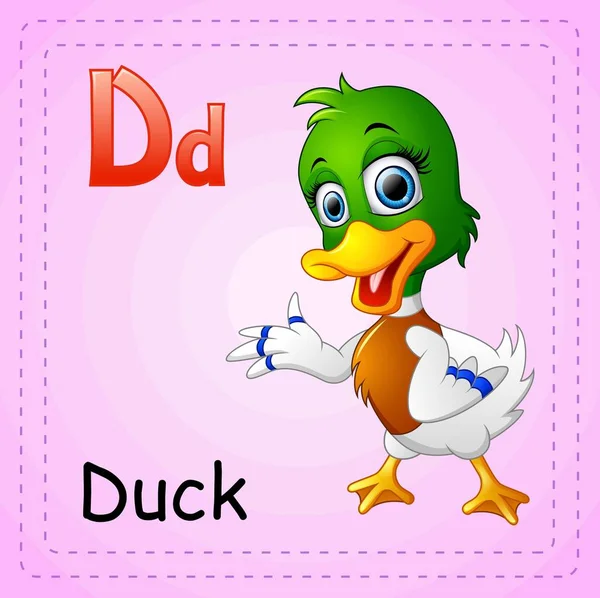 Animals alphabet: D is for Duck — Stock Vector