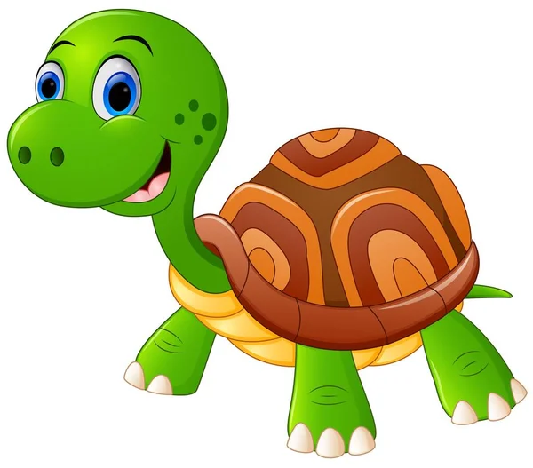 Cute turtle cartoon — Stock Vector