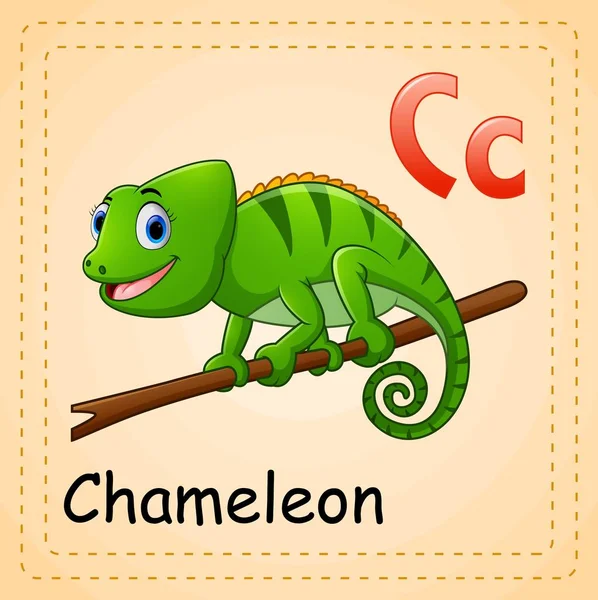ตัวอักษรสัตว์: C สําหรับ Chameleon — ภาพเวกเตอร์สต็อก