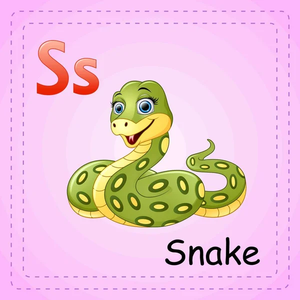 Alfabeto de los animales: S es para Snake — Vector de stock
