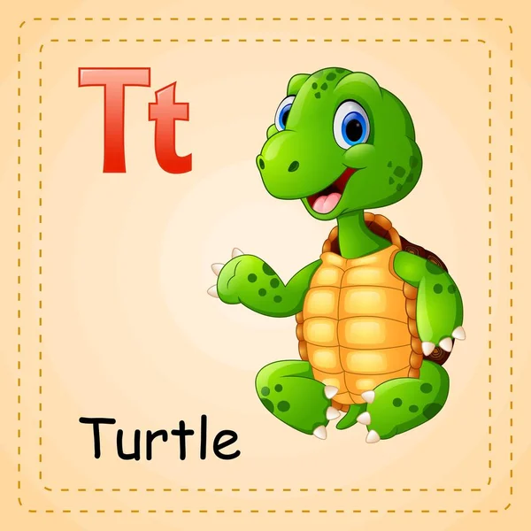 Alfabeto animale: T sta per tartaruga — Vettoriale Stock
