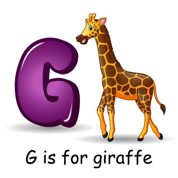 ตัวอักษรสัตว์: G สําหรับยีราฟ — ภาพเวกเตอร์สต็อก