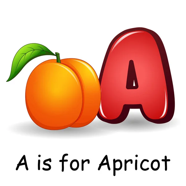 Alphabet Fruits : A pour Abricot Fruits — Image vectorielle