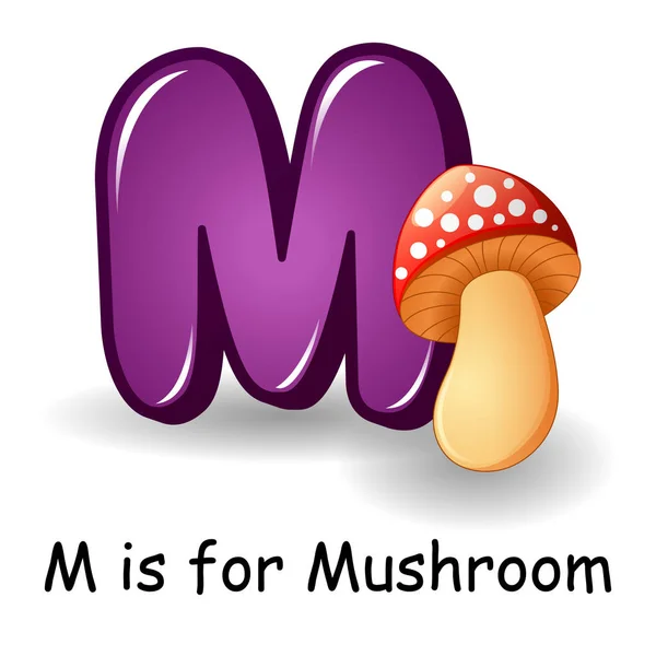 Alfabeto de verduras: M es para champiñones — Archivo Imágenes Vectoriales