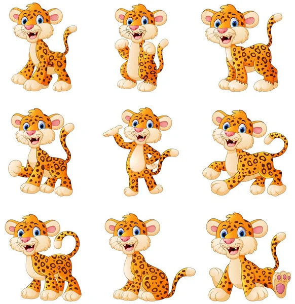 Leopardí kreslený sada kolekce — Stockový vektor