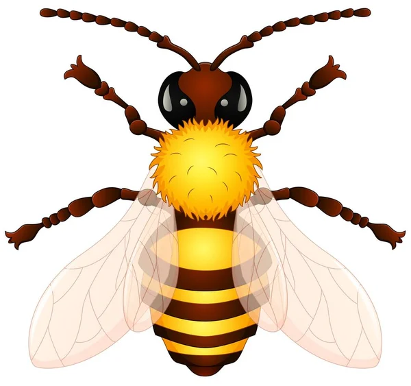 Cute cartoon wasp — Stock Vector