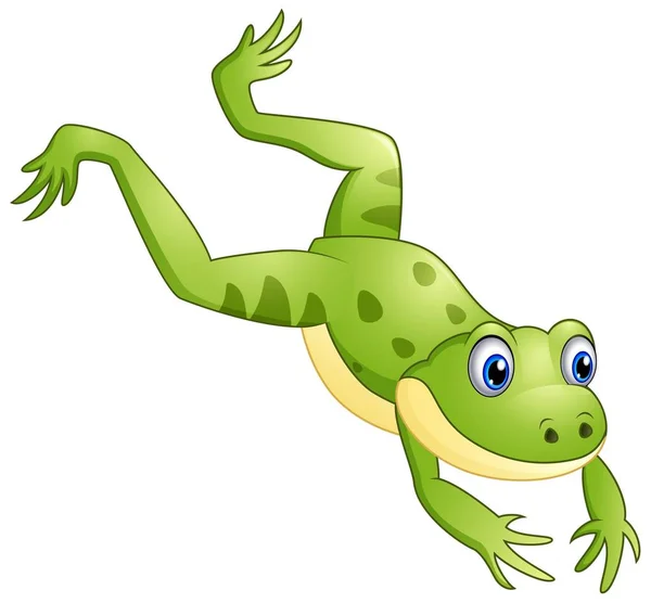 Roztomilý frog kreslený skákající — Stockový vektor