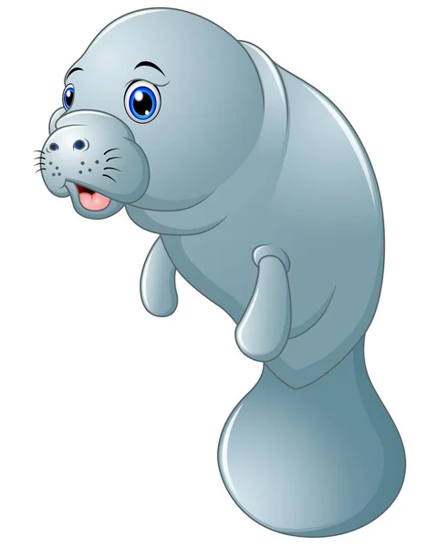 Cute cartoon manatee on white background — Stock Vector