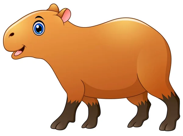Mignon capybara dessin animé — Image vectorielle