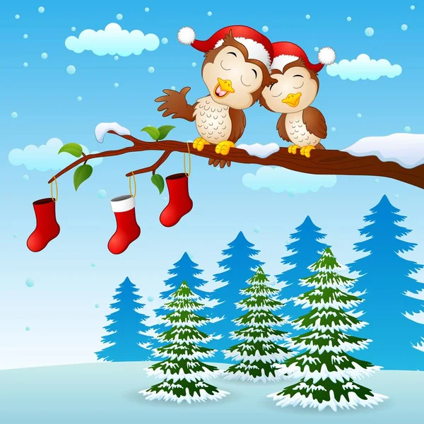 겨울에 양말과 나뭇가지에 크리스마스 커플 올빼미 — 스톡 벡터