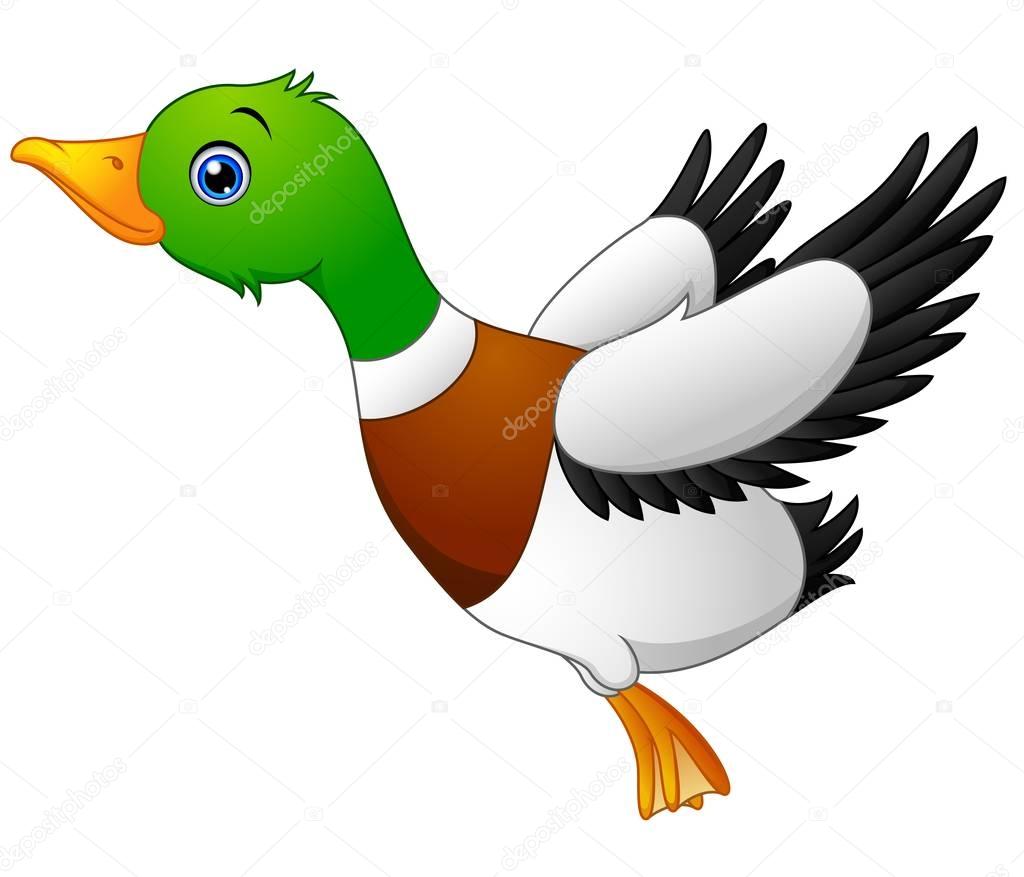 Cartoon duck flying