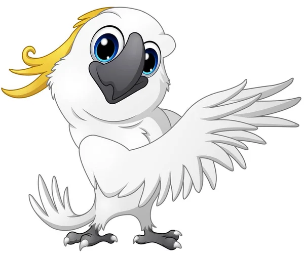 Carino pappagallo cockatoo cartoon posa — Vettoriale Stock