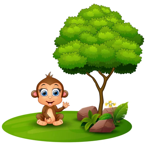 흰색 배경에 나무 아래 앉아 만화 원숭이 — 스톡 벡터