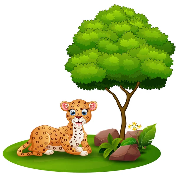 卡通豹躺在一棵树上一个白色的背景下， — 图库矢量图片