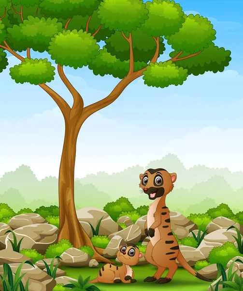 Mãe dos desenhos animados meerkat com seu bebê na selva — Vetor de Stock