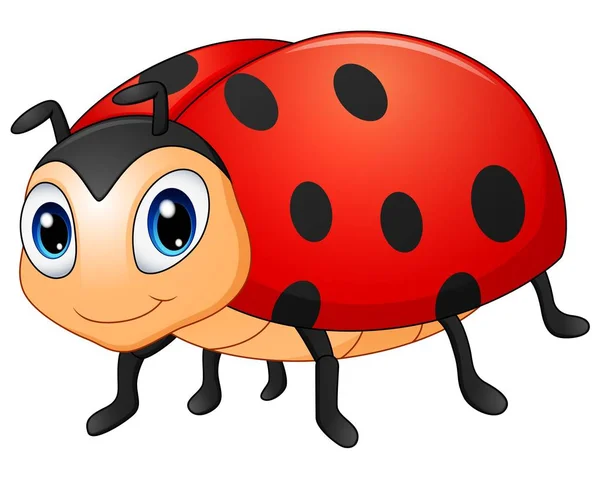 Roztomilý ladybug karikatura — Stockový vektor