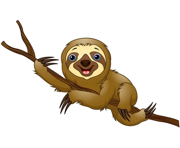 Cartoon sloth on a tree branch — Stock Vector