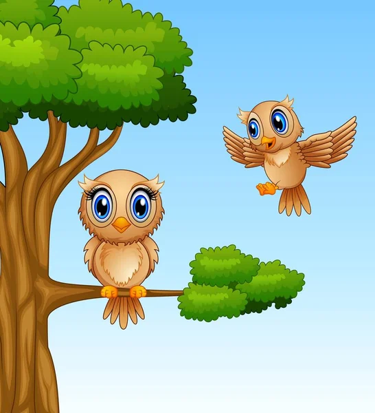 可爱的猫头鹰卡通在树枝上 — 图库矢量图片