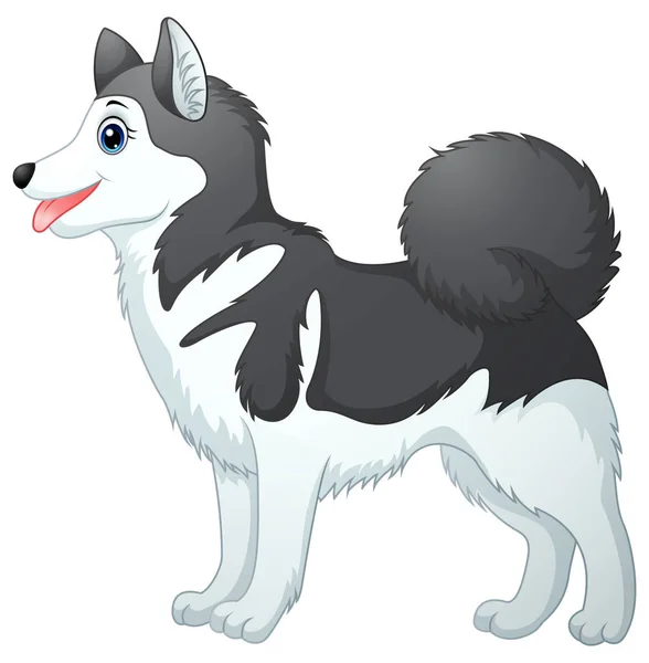卡通西伯利亚哈士奇犬 — 图库矢量图片