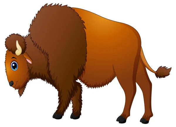 Bonito desenho animado bisão — Vetor de Stock
