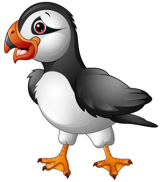 Cartoon atlantic puffin — Stock Vector