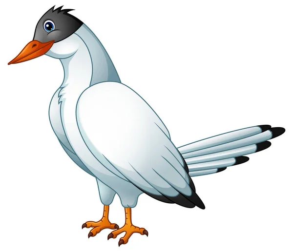 Ładny ptak Rybitwa kreskówka — Wektor stockowy